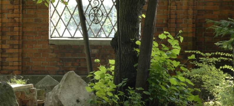 老公园酒店(Hotel am Alten Park)图片