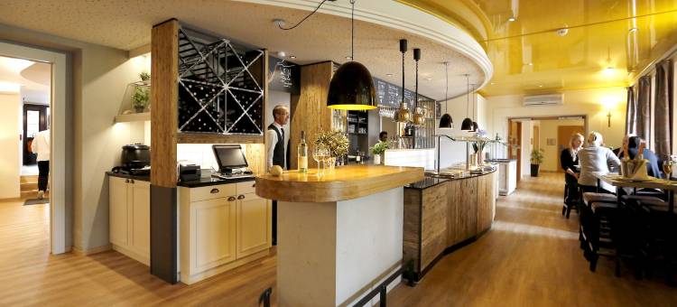 阿塞汉姆普法索酒店(Pfalzhotel Asselheim)图片