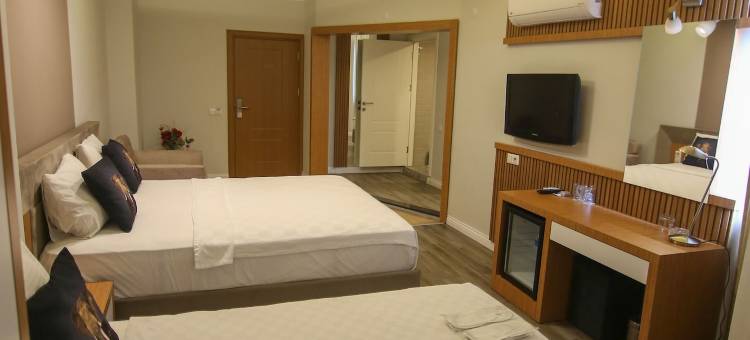 塞维克宫酒店(Cevik Palace Otel)图片