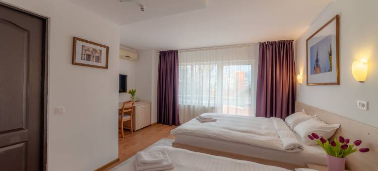 克鲁吉膳宿旅馆(Pension Cluj)图片