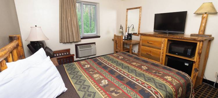 桑德波因特费尔布里奇套房酒店(FairBridge Inn and Suites Sandpoint)图片