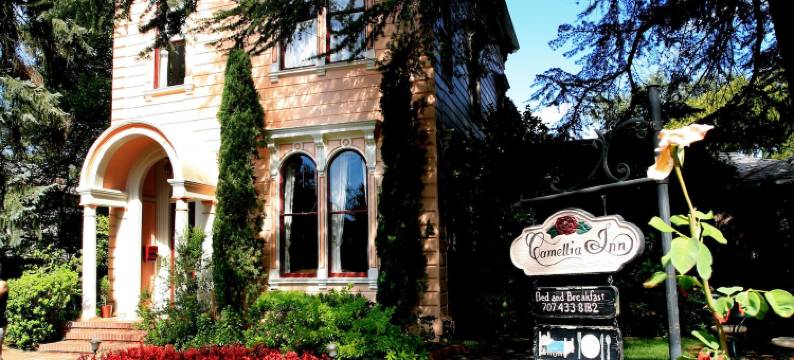 茶花旅馆(Camellia Inn)图片