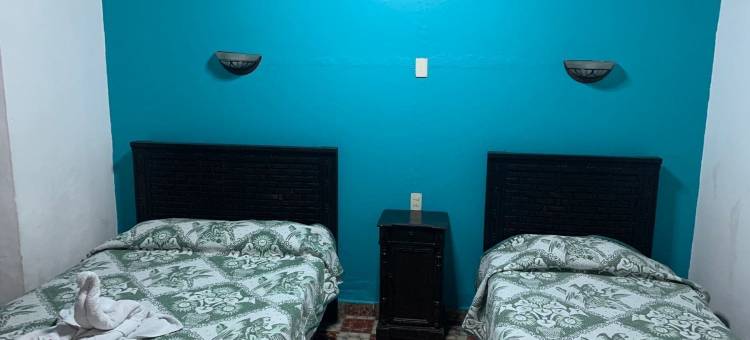 科拉斯克考乐尼奥酒店(Hotel Clasico Colonial)图片