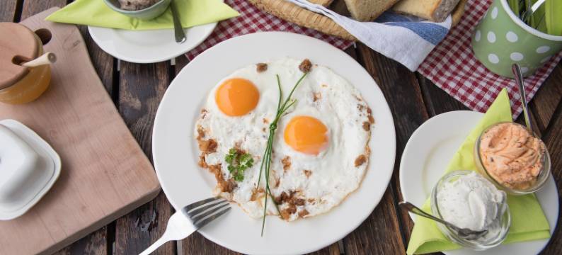 德沃雷茨民宿(Bed & Breakfast Dvorec)图片