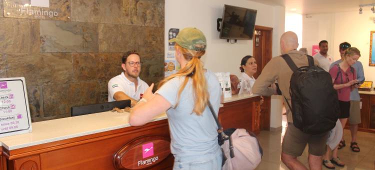 弗拉明戈酒店(Hotel Flamingo)图片