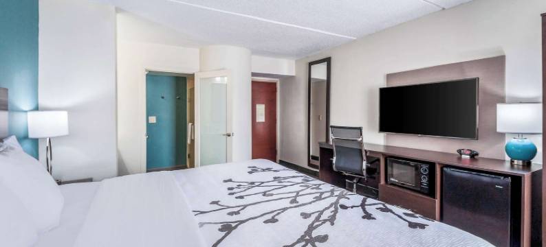 安眠套房酒店-里霍博斯海滩(Sleep Inn & Suites Rehoboth Beach)图片