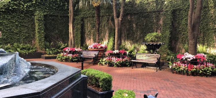 温莎苑(The Windsor Court)图片