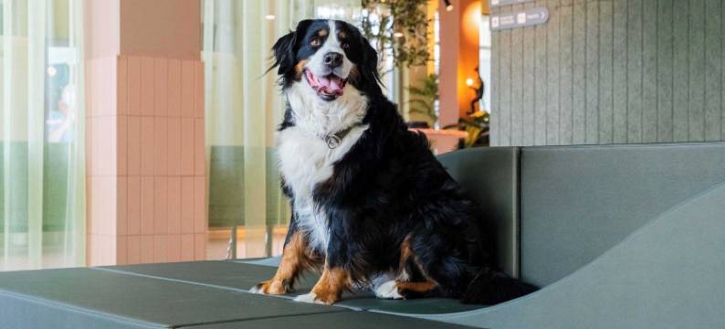 城市盒子克里斯蒂安桑(Citybox Lite Kristiansand)图片