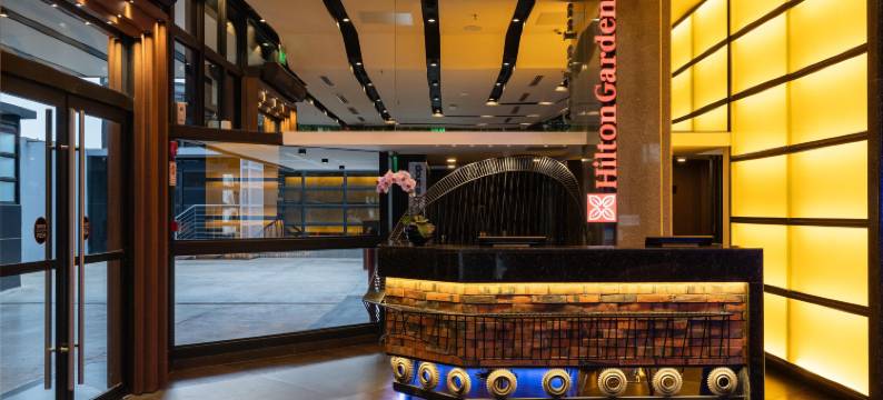 亚松森希尔顿花园酒店 - 飞行员之路(Hilton Garden Inn Asuncion Aviadores del Chaco)图片