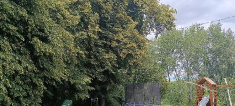 Domek Pod Lipami图片