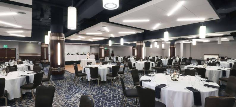 卡拉马祖中心丽笙广场酒店(Radisson Plaza Hotel and Suites Kalamazoo)图片