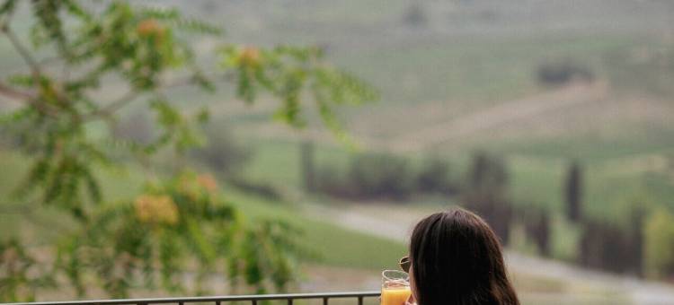 迪安内拉酒庄度假别墅(Boutique Wine Resort - Villa Dianella)图片