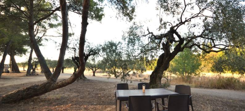 Flat with pool in the heart of vineyards图片