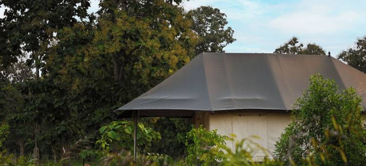 邦德利营地和度假村，潘纳(Bundeli Camps and Resorts, Panna)图片