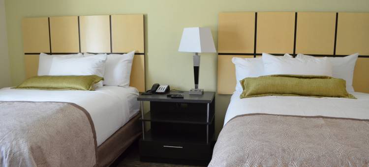 Candlewood Suites 圣安东尼奥机场 IHG酒店(Candlewood Suites San Antonio Airport)图片