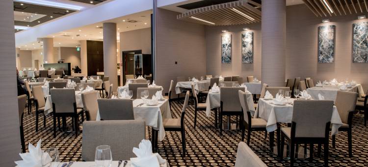 假日酒店-栋布罗瓦古尔尼恰(Holiday Inn DABROWA GORNICZA-KATOWICE by IHG)图片