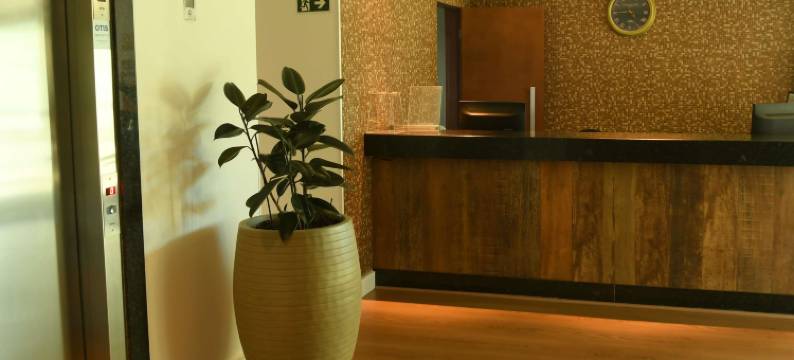 阿拉拉夸拉美居酒店(Hotel Araraquara by Mercure)图片