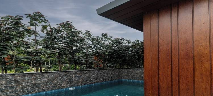 福雷斯特(Forrest)图片