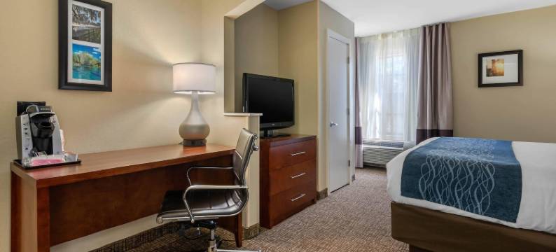 奥卡拉-银泉舒适酒店(Comfort Inn Ocala Silver Springs)图片