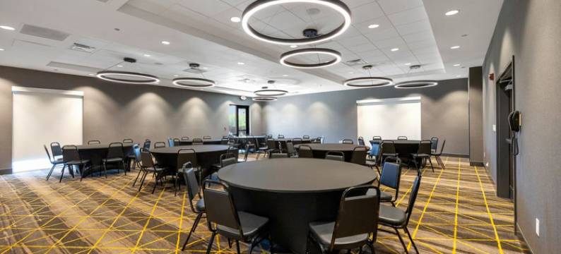 芝加哥廷利公园洲际假日酒店(Holiday Inn CHICAGO – TINLEY PARK by IHG)图片