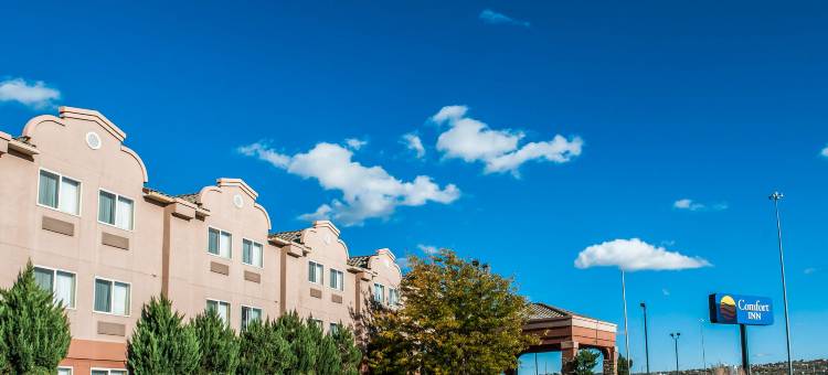 盖洛普 I-40 20号出口舒适酒店(Comfort Inn Gallup I-40 Exit 20)图片