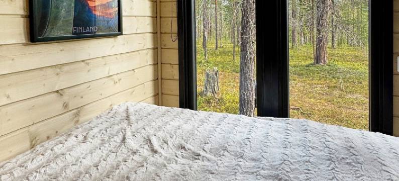 北极光(Borealis)图片