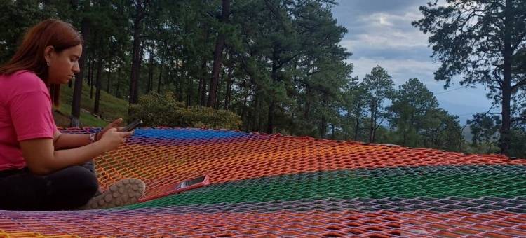 小松树豪华露营(Tiny Pines Glamping)图片