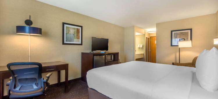 舒适酒店-西雅图费多威(Comfort Inn Federal Way - Seattle)图片