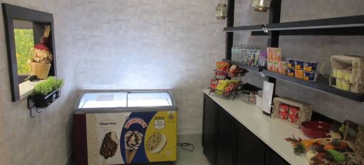 Best Western Decatur Inn图片