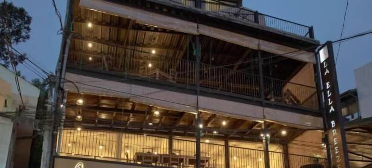 橡树瑞拉埃勒微风(Oak Ray La Ella Breeze)图片