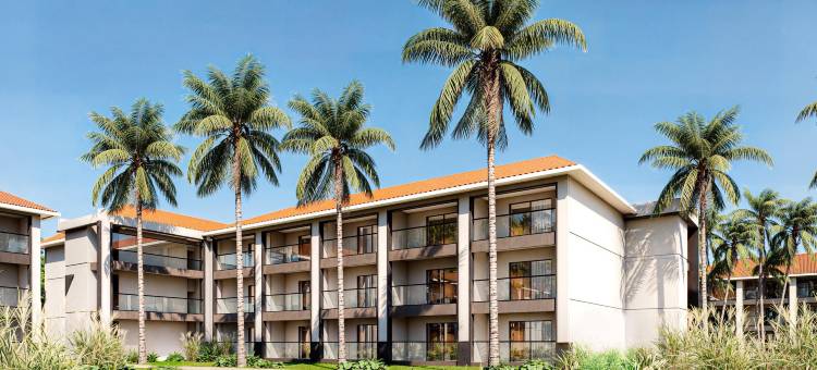 Hyatt沃伊德蓬塔卡纳酒店(Hyatt Vivid Punta Cana)图片