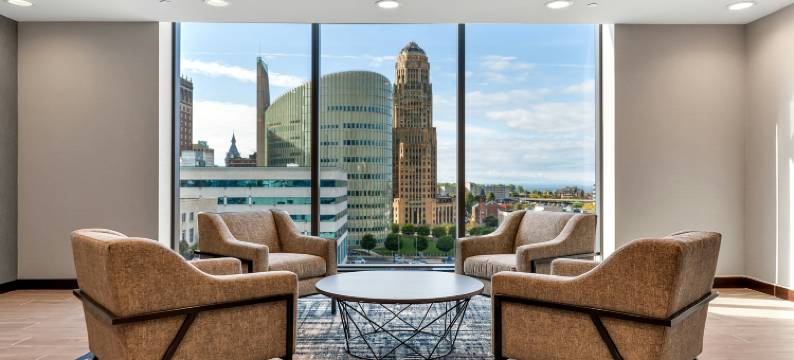 布法罗希尔顿安泊酒店(Embassy Suites by Hilton Buffalo)图片