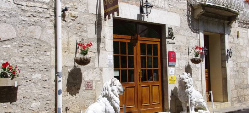 利昂多尔酒店(Hotel du Lion d'Or)图片