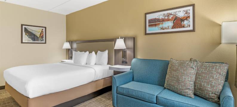 度假小屋贝斯特韦斯特酒店(Best Western Holiday Lodge)图片