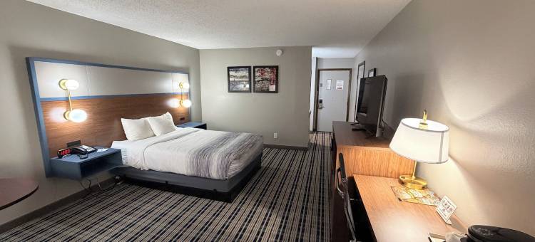 阿普尔顿市中心AmericInn酒店(Americinn by Wyndham Appleton Downtown)图片