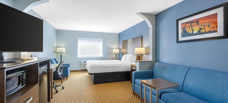 南平原贝斯特韦斯特套房酒店(Best Western South Plains Inn  Suites)图片