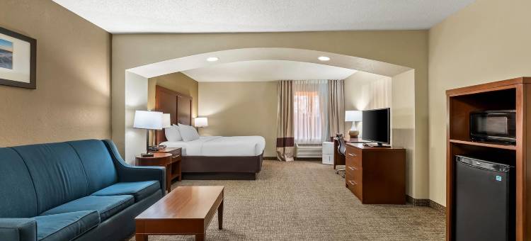 舒适套房酒店(Comfort Inn & Suites Panama City - St Andrew)图片