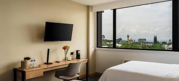 特拉萨贝斯特韦斯特优质酒店(Best Western Plus Hotel Terraza)图片
