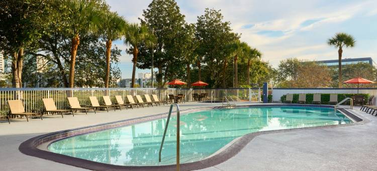 奥兰多国际大道万豪城市快捷酒店(City Express by Marriott Orlando International Drive)图片