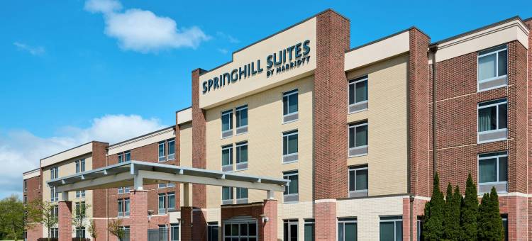 罗穆勒斯底特律都会机场万豪SpringHill酒店(SpringHill Suites Detroit Metro Airport Romulus)图片
