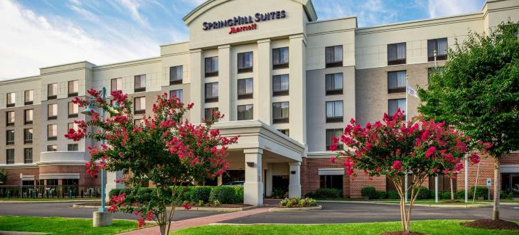汉普顿SpringHill Suites酒店(SpringHill Suites Hampton)图片