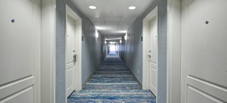威尔明顿迈费尔Homewood Suites by Hilton(Homewood Suites by Hilton Wilmington/Mayfaire)图片