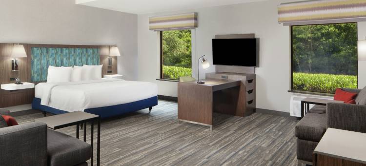 欢朋酒店加纳切兹套房(Hampton Inn & Suites Natchez)图片