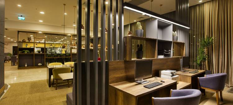 希尔顿花园旅馆-科贾埃利瑟克尔皮纳(Hilton Garden Inn Kocaeli Sekerpinar)图片