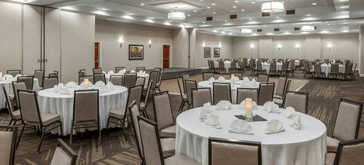 达拉斯艾伦希尔顿花园酒店(Hilton Garden Inn Dallas/Allen)图片