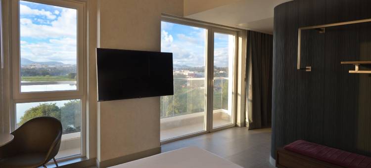卢本巴希诺富特酒店(Novotel Lubumbashi)图片