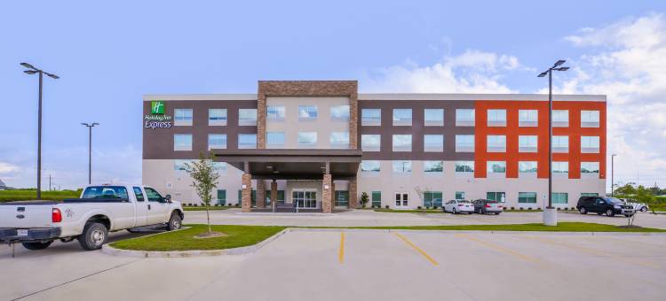 唐纳森维尔洲际智选假日酒店(Holiday Inn Express DONALDSONVILLE by IHG)图片