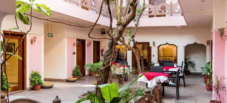 艾姆里塔拉苏里亚乌戴哈维里酒店(Amritara Suryauday Haveli)图片