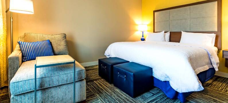 洛克波特-布法罗欢朋旅馆(Hampton Inn Lockport)图片