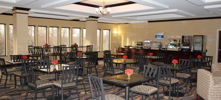 奈尔斯智选假日酒店(Holiday Inn Express & Suites Niles)图片